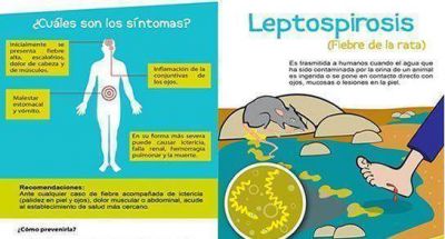 Caso fatal de Leptospirosis en Santa Fe