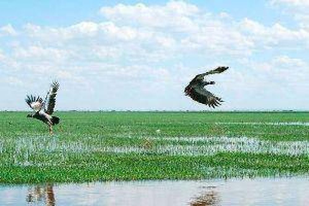 En una escriban�a local se habr�an falsificado firmas para apropiarse de 2.800 ha