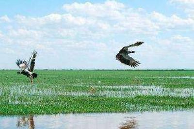 En una escriban�a local se habr�an falsificado firmas para apropiarse de 2.800 ha