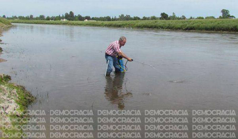 Barig��: fumigan en cursos de agua y en algunos barrios