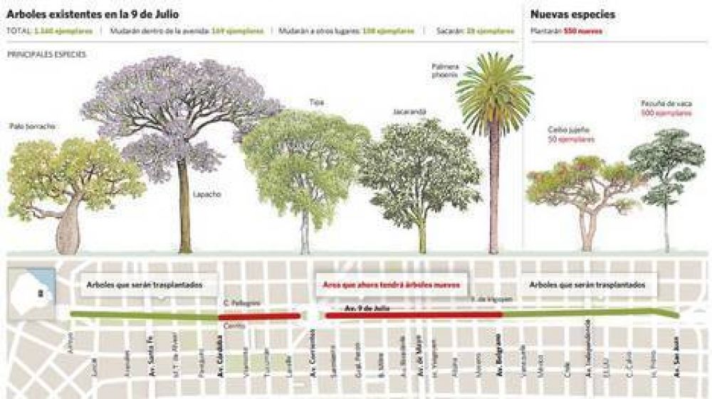 La obra del Metrob�s: Pol�mica porque mueven 305 �rboles de la 9 de Julio