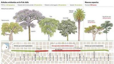 La obra del Metrob�s: Pol�mica porque mueven 305 �rboles de la 9 de Julio