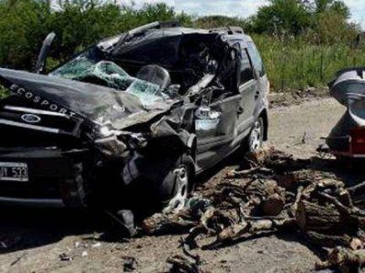  Fuerte colisi�n de un auto contra la parte trasera del acoplado de un cami�n