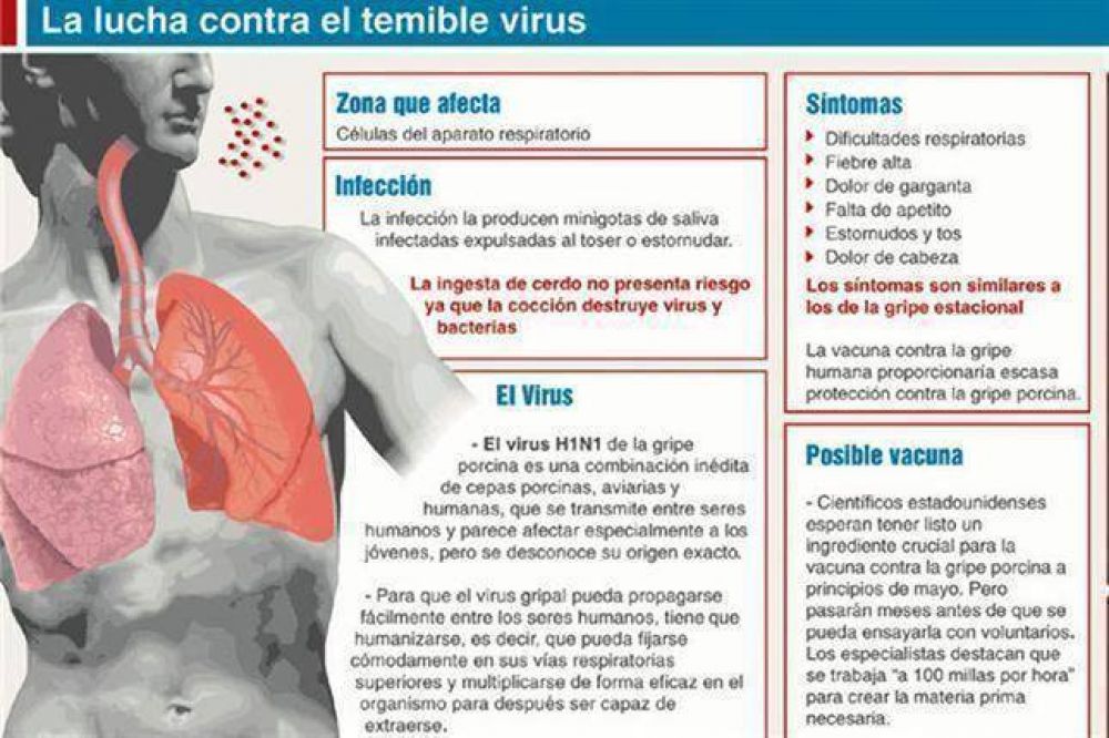 Gobierno bonaerense reconoci� desconocer el tipo de gripe A que ya caus� una muerte