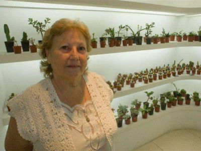 Exposici�n de plantas nativas y ex�ticas
