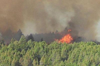 Incendio fuera de control en Epuyen: el viento complica la situaci�n