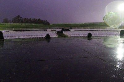 La copiosa lluvia hizo que se suspendiera la fiesta de la Vendimia de San Mart�n