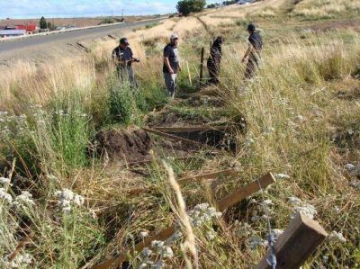 Vandalismo en la Reserva Natural de la Cruz