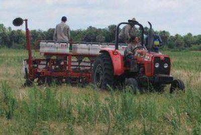 Estudiantes de escuelas agro t�cnicas acentuar�n experiencias en los campos