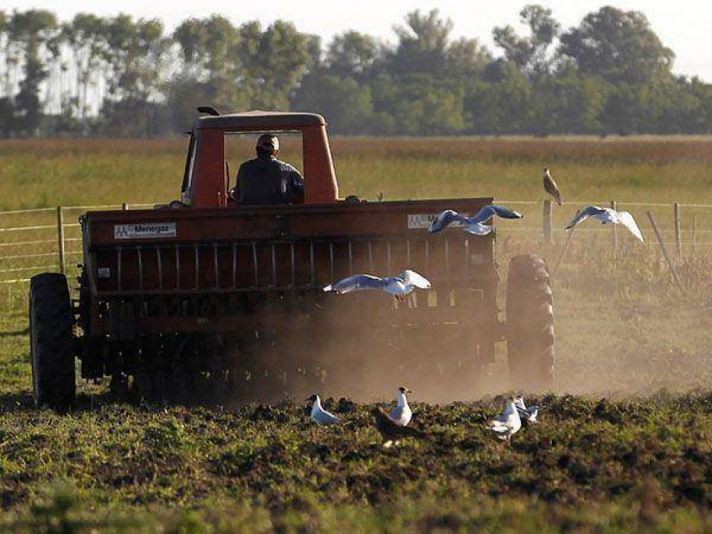 El campo aportar� este a�o u$s 31.000 millones a la econom�a argentina