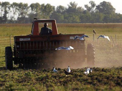 El campo aportar� este a�o u$s 31.000 millones a la econom�a argentina