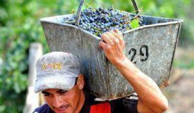 Este a�o, las uvas se pagar�n a igual o menor precio que en 2012