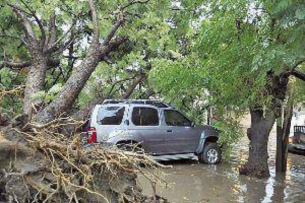 La tormenta provoc� la ca�da de �rboles y postes en Capital, Loreto y Clodomira