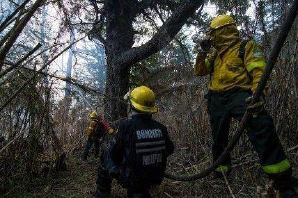 Trabajadores del SPLIF en "alerta permanente"