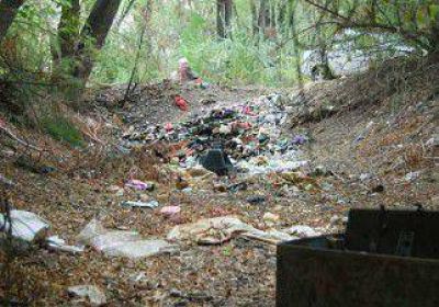 Microbasurales florecen en terrenos cercanos a la perrera municipal 
