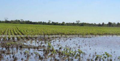 El Sudoeste espera por m�s lluvia pensando en la soja