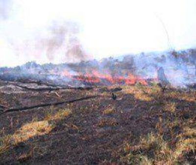 Aumentan los incendios forestales 