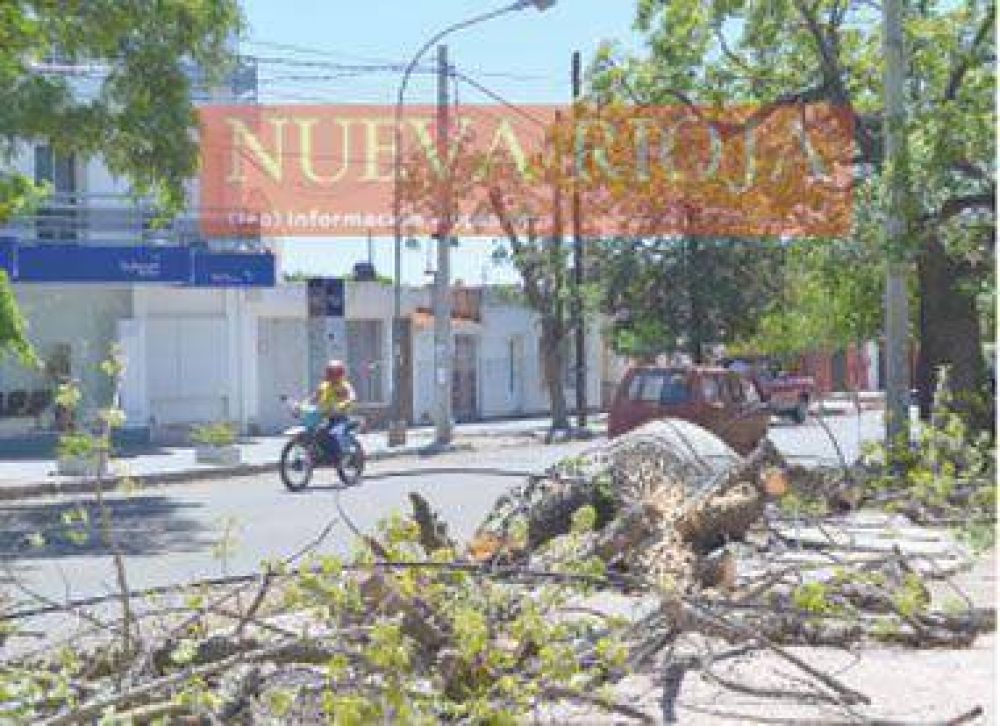 El viento y la lluvia provocaron destrozos en Capital y el Oeste