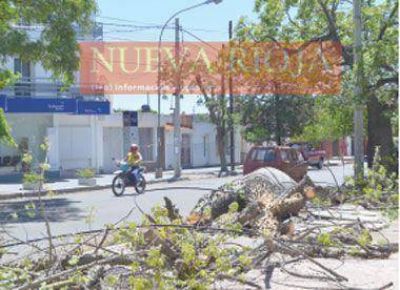 El viento y la lluvia provocaron destrozos en Capital y el Oeste