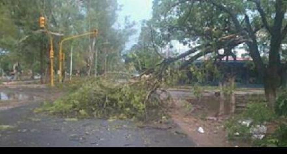 Intendente de Lomitas dijo que la tormenta ca�da no fue un tornado y cuestiono la forma en que fue publicada la noticia 