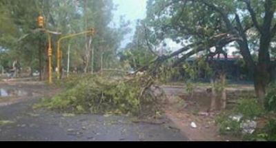 Intendente de Lomitas dijo que la tormenta ca�da no fue un tornado y cuestiono la forma en que fue publicada la noticia 