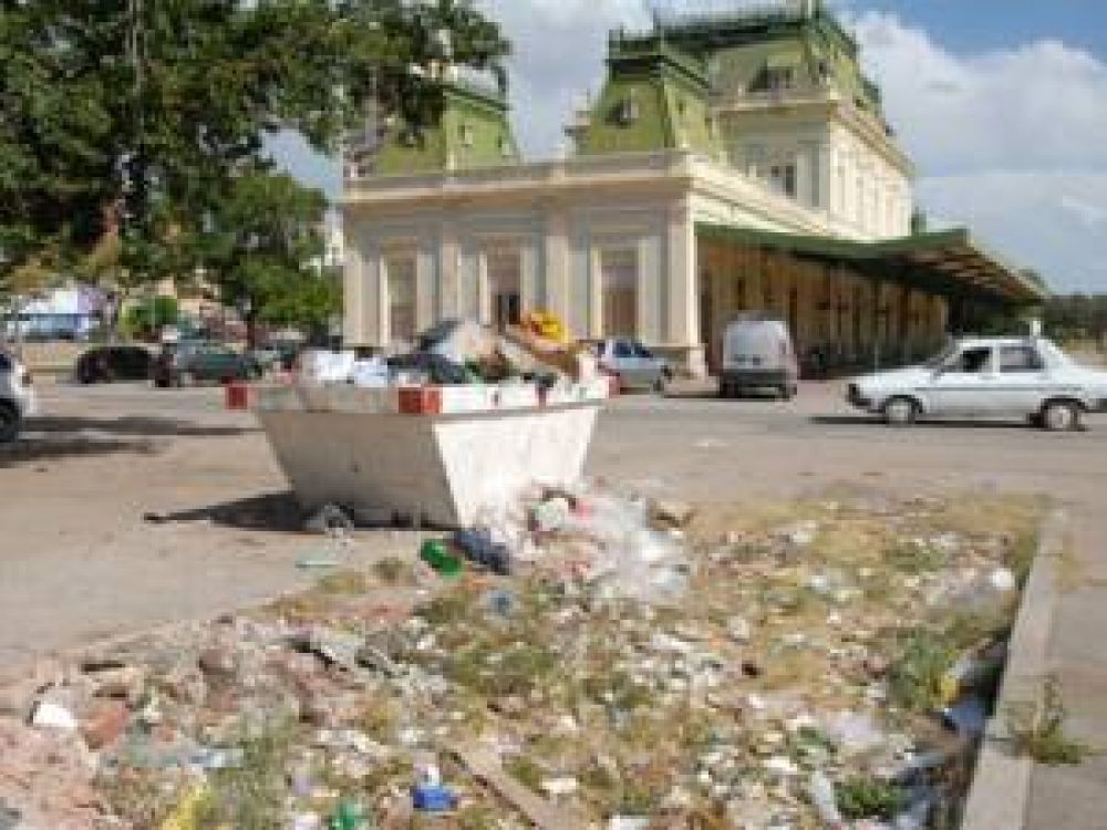 Dicen que por la falta de limpieza hay m�s ratas en la ciudad de San Luis