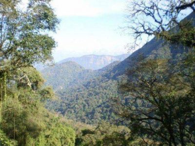 Anuncian encuentro regional de las selvas de monta�as