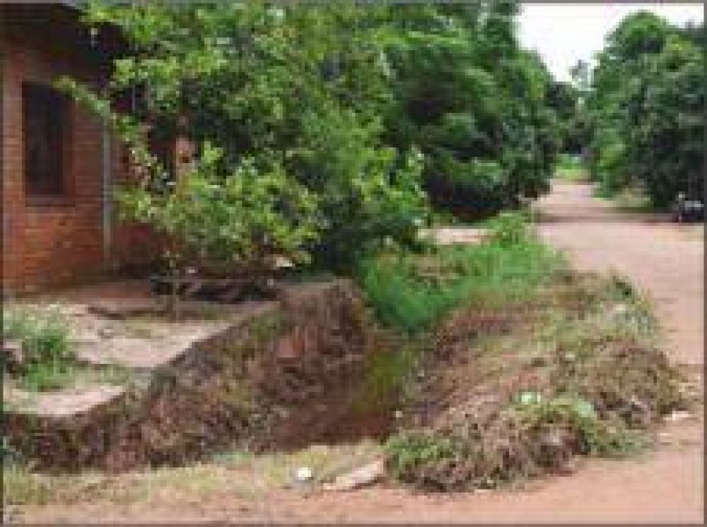 En el barrio Regimiento est�n preocupados por la constante invasi�n de mosquitos