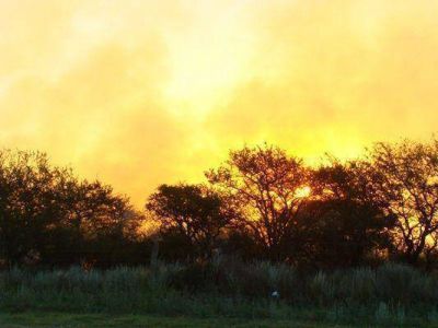 Controlan dos incendios de caldenales