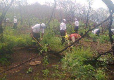 Finaliz� la forestaci�n en el cerro San Bernardo