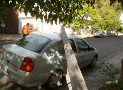 Enorme poste cay� encima de un auto estacionado