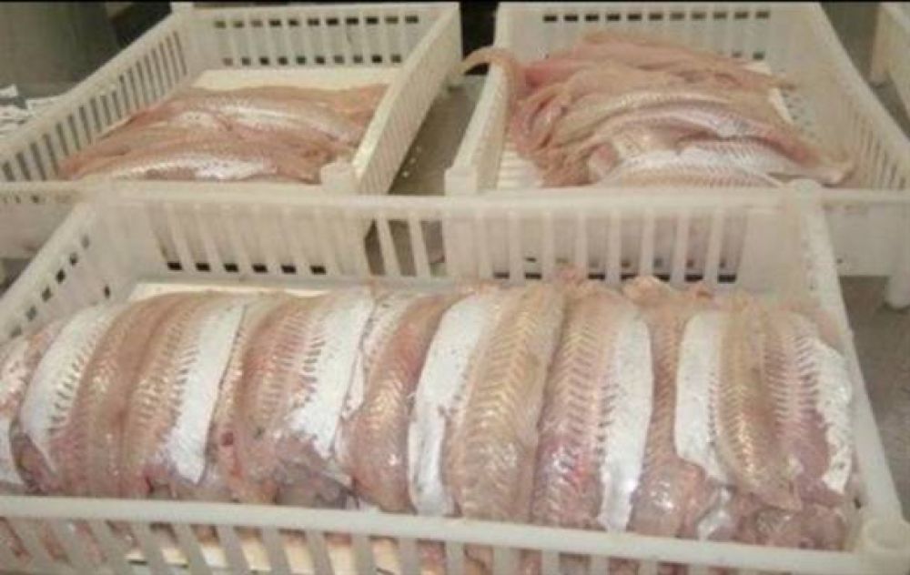 Ma�ana llegar� el cami�n de �Pescado para Todos�
