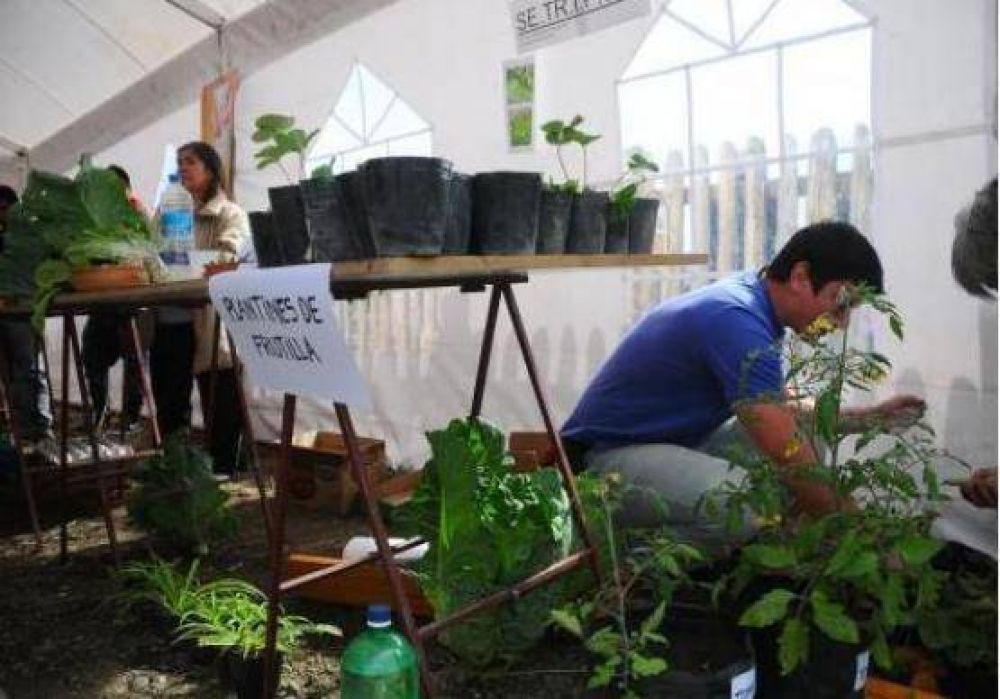 El s�bado realizar�n la Expo Huerta 2013
