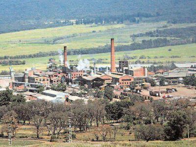 Pago de interzafra comenzar� el viernes 15 de febrero