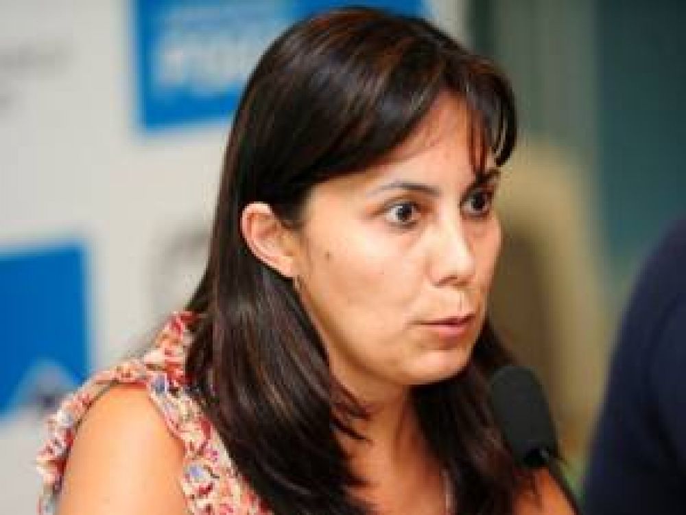 Presentar�n planes y proyectos para el ciclo lectivo 2013
