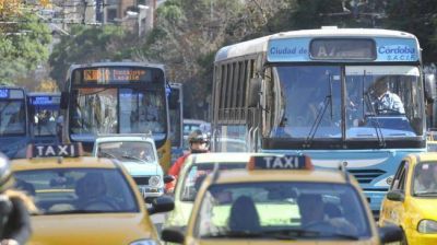 Transporte: seis empresas realizan consultas por pliegos licitatorios