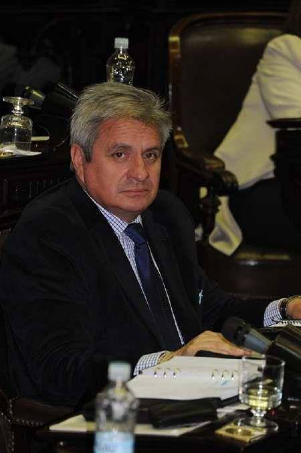 Maldonado: Cristina deber�a imitar a Dilma