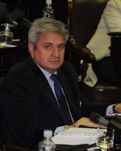 Maldonado: Cristina deber�a imitar a Dilma