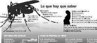 Dengue: se disparan las consultas y en Santa Fe ya estudian 200 casos 