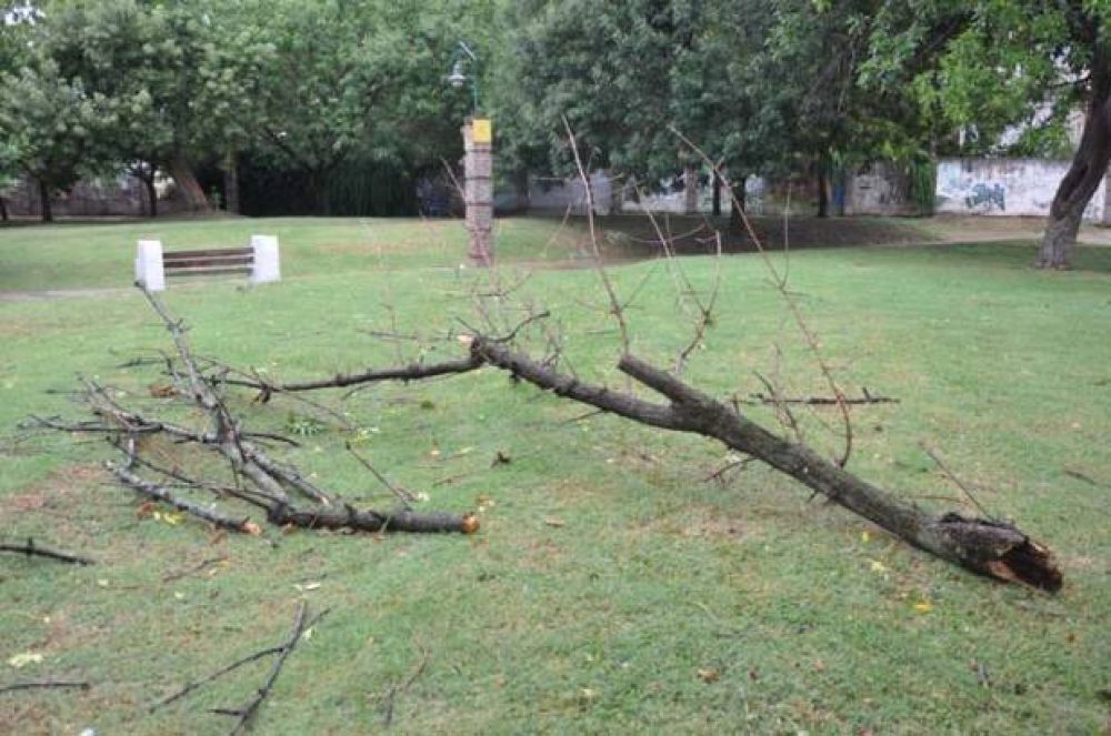 Inconvenientes en la ciudad por el viento y la tormenta: varios sectores se vieron afectados