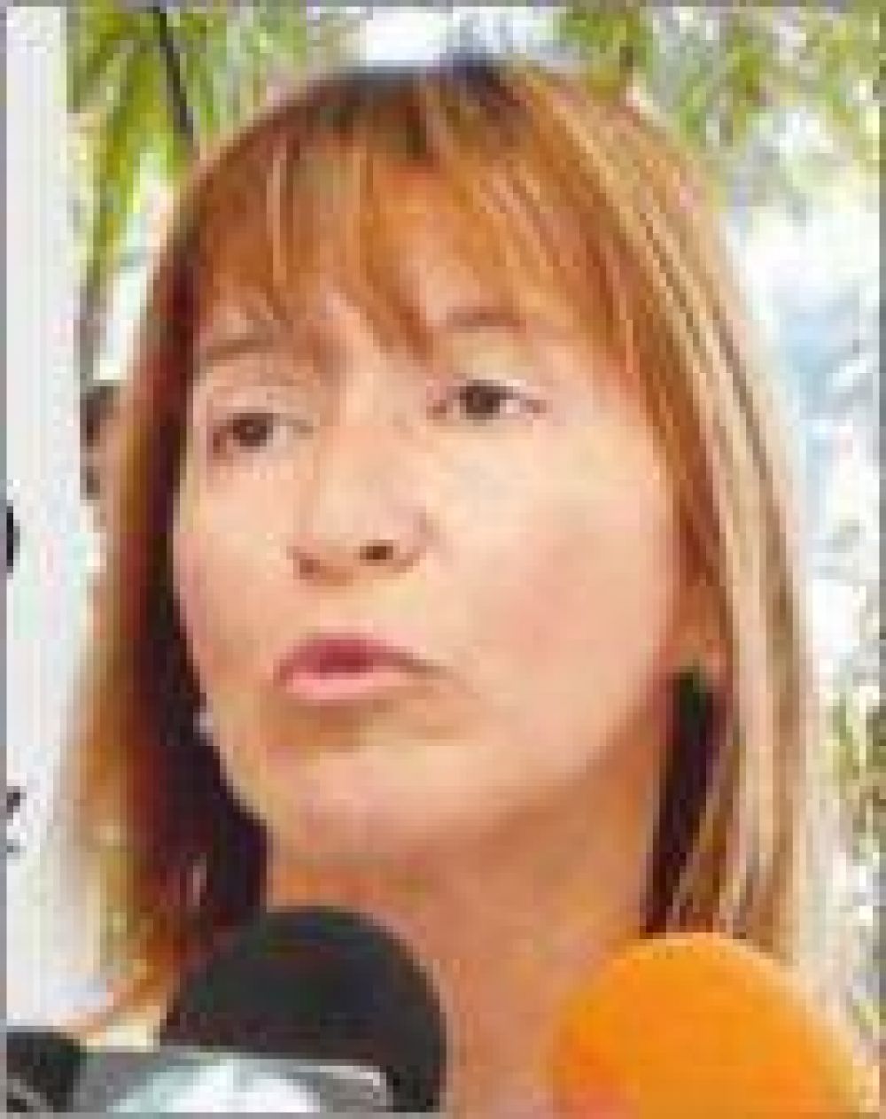 Afiliados del IPS podr�n viajar a Bariloche y Mar del Plata en Semana Santa