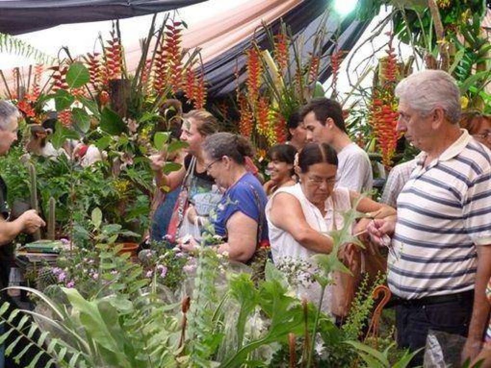 Misiones exhibe su potencial como productor de flores