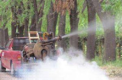 Desde el Municipio aseguran que se fumiga �en todos los barrios�