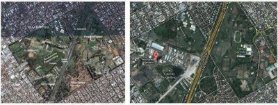 Acusan al Gobierno de talar 8 hect�reas para hacer Tecn�polis