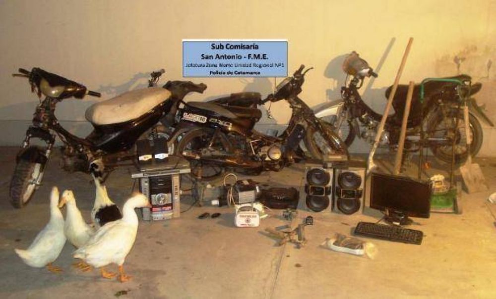En allanamientos secuestran motos, computadoras, celulares y hasta gansos y patos