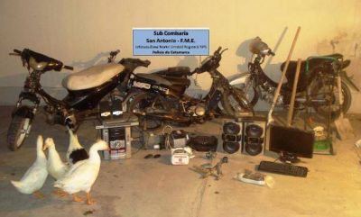 En allanamientos secuestran motos, computadoras, celulares y hasta gansos y patos