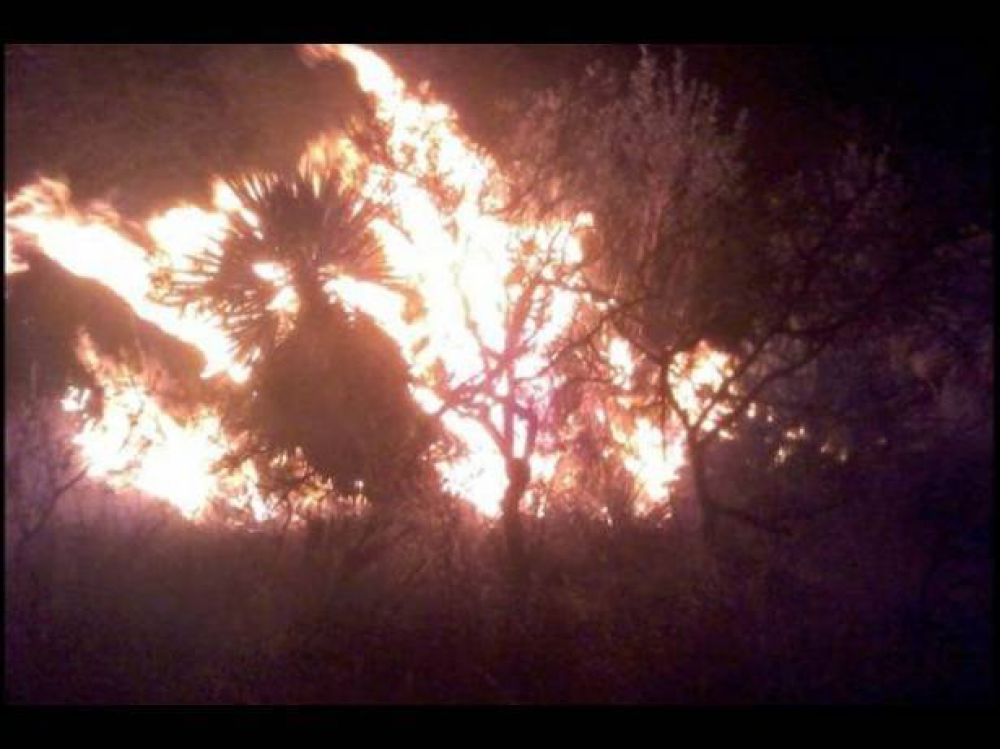 Un incendio consumi� m�s de 200 hect�reas de pastizales en Federal