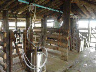 Creciente incorporaci�n del orde�e mec�nico en los peque�os y medianos productores lecheros