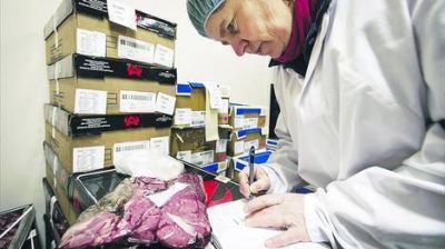 Enviaron carne de caballo a 47 escuelas y hospitales brit�nicos