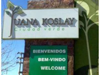 Un auto se estrell� contra un �rbol: su conductor sali� ileso